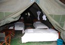 Enchoro Wildlife Camp Tents Masai Mara