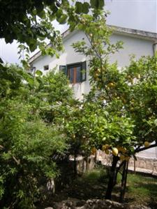 Vigna Longa Bed & Breakfast San Cipriano Picentino