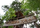 Ashokas Tiger Trail Resort Corbett