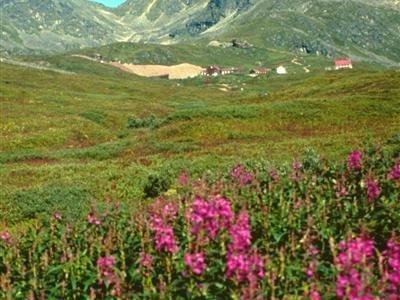 Hatcher Pass Bed & Breakfast