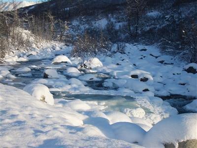 Hatcher Pass Bed & Breakfast