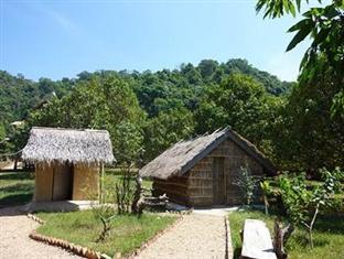 Tree Top Bungalows