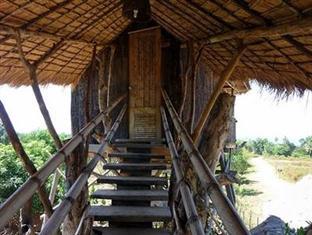 Tree Top Bungalows