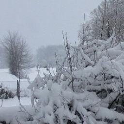 Hotel Le Moulin De La Wantzenau
