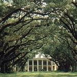 Oak Alley Plantation