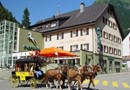 Hotel Zum Weissen Rossli Goschenen