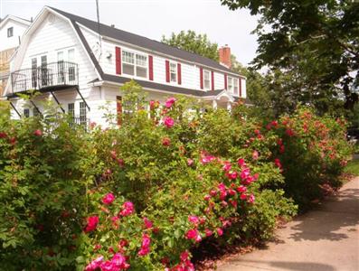 Welcome Inn Halifax Bed & Breakfast