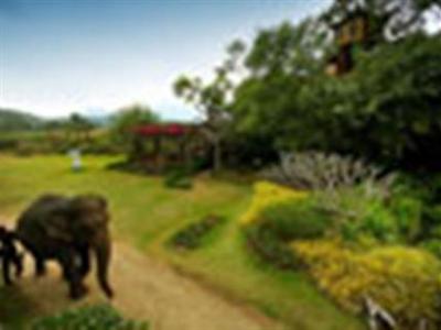 Pai Treehouse Resort Mae Hong Son