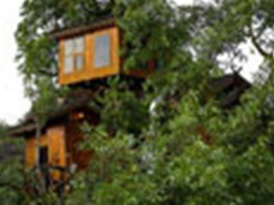 Pai Treehouse Resort Mae Hong Son