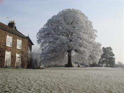 Hob Green Hotel Markington