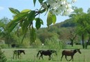 Domaine de Borie Bed and Breakfast Bretenoux