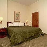 Comfort Inn Charleston