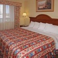 Econo Lodge Inn & Suites Arlington (Texas)