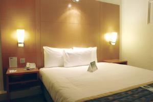 Holiday Inn London - Regent's Park