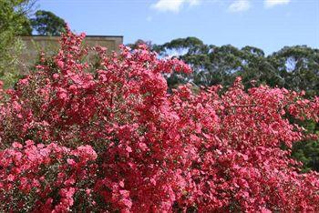 Marwood Villas Halls Gap