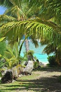 The Cooks Oasis Holiday Villas Rarotonga