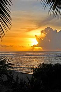 The Cooks Oasis Holiday Villas Rarotonga