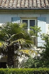 Villa Glanum Hotel Saint-Remy-de-Provence