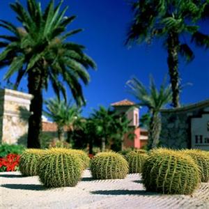 Sheraton Hacienda del Mar Resort Los Cabos Cabo San Lucas