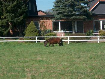 Akzent Hotel Zur Erholung Eicklingen