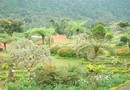 Danau Buyan Resort