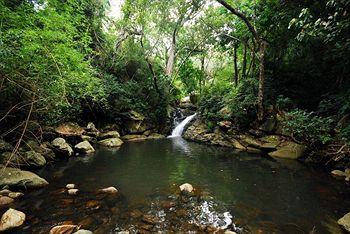 Glen View Resorts Mudumalai