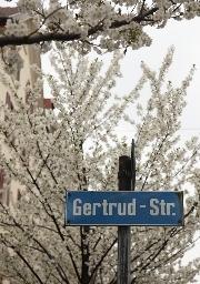 Gertrudstrasse Guesthouse Zurich