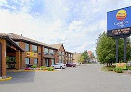 Comfort Inn Brampton