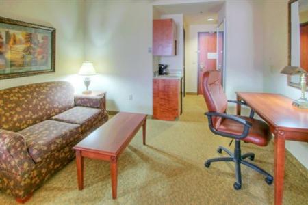 Holiday Inn Express Hotel & Suites Las Cruces