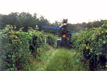 Best Western Crossroads Inn DeFuniak Springs