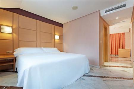 Tryp Puertollano