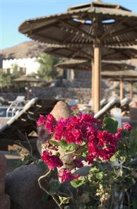 The Bedouin Moon Hotel