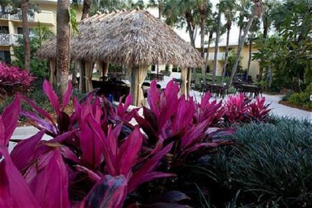 Hotel Indigo Miami Lakes