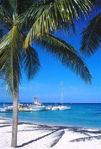 Occidental Allegro Hotel Cozumel