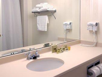 Wingate by Wyndham Flint-Grand Blanc-Airport