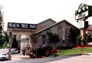 Peach Tree Inn