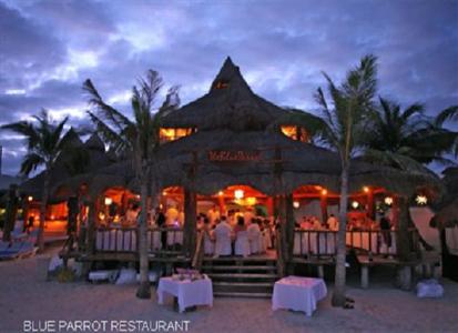 Blue Parrot Fifth Avenue Hotel Playa del Carmen