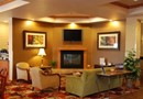 Holiday Inn Express Hotel & Suites Fenton