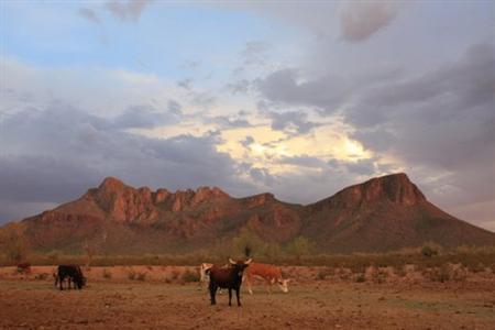 White Stallion Ranch