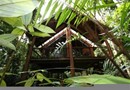 The Canopy Rainforest Treehouses and Wildlife Sanctuary