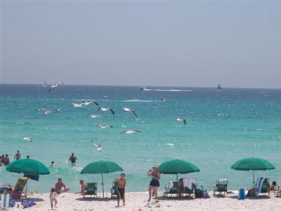 Holiday Inn Destin on the Beach