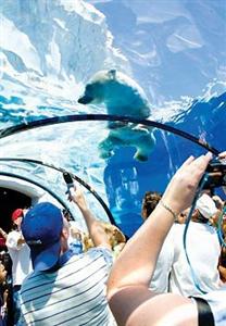 Residence Inn Detroit Novi