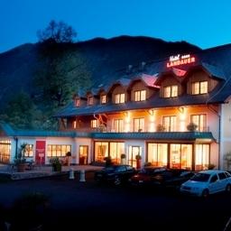 Hotel Vitaler Landauerhof