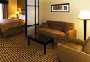 Comfort Suites McDonough