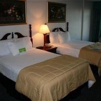 Comfort Inn & Suites Orlando