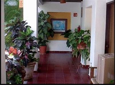 Villa Mercedes Hotel Puerto Vallarta