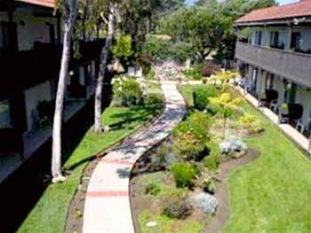 Quality Inn San Simeon