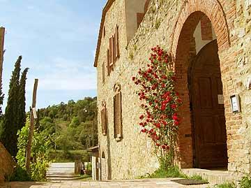 Tenuta Il Santo