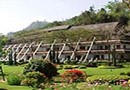 Suan Bua Hotel & Resort