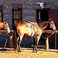 Ranch at Ucross Hotel Clearmont (Wyoming)